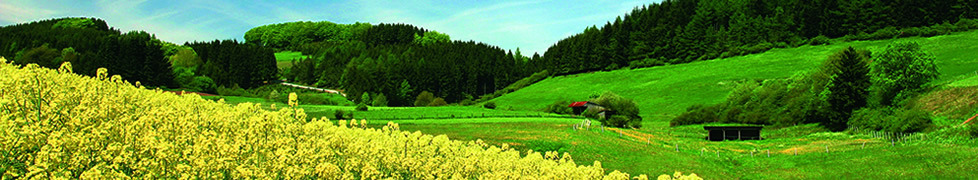 Sommer-Willingen-Schwalefeld